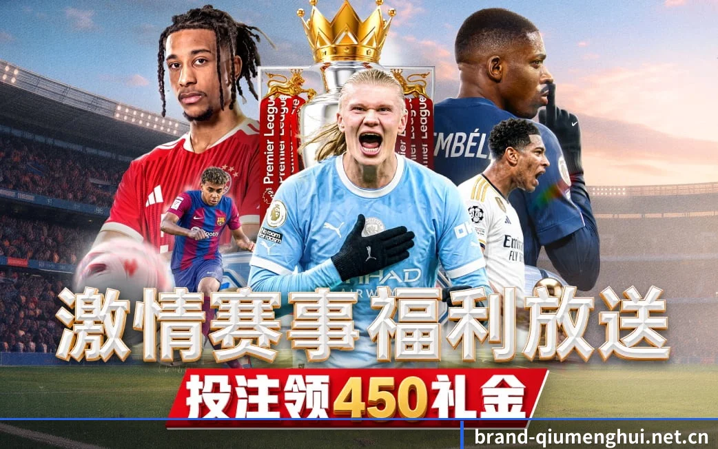 每一处独立专区皆深耕一项主力竞技运动